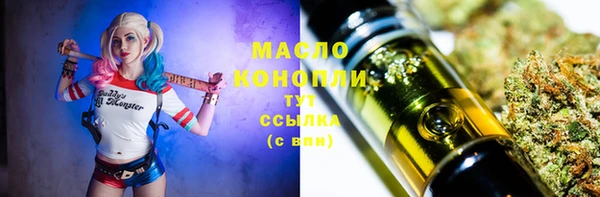 гидра Богданович