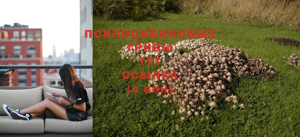 кокаин премиум Богородск
