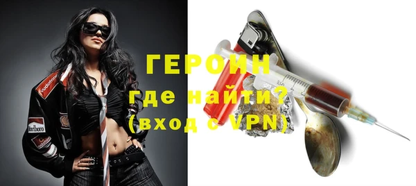 гидра Богданович
