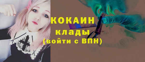 гидра Богданович