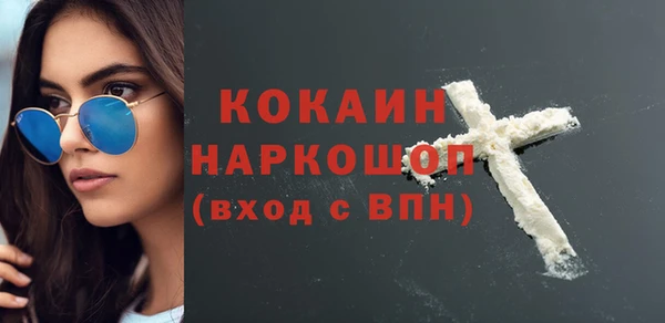 гидра Богданович