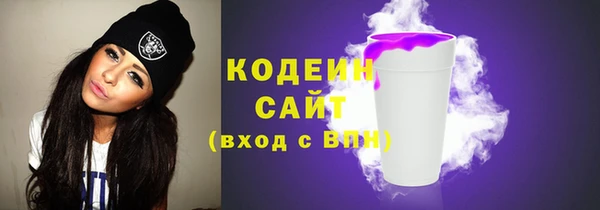 гидра Богданович