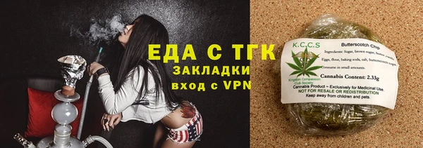 гидра Богданович