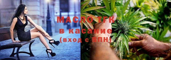 гидра Богданович