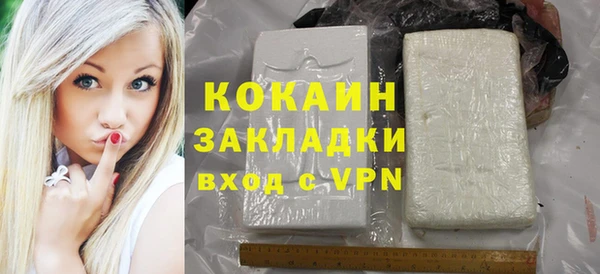 гидра Богданович