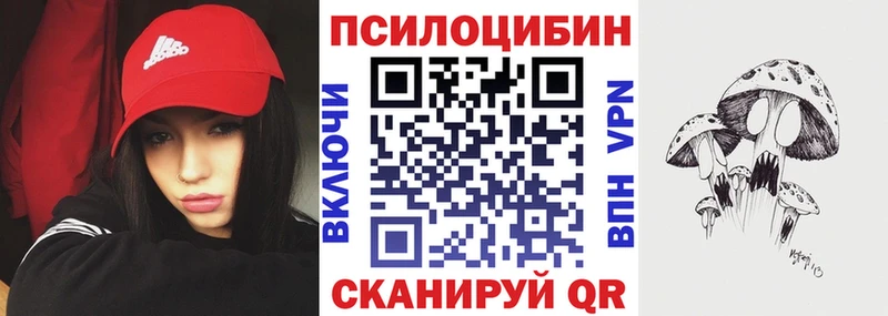 Псилоцибиновые грибы мицелий Кущёвская